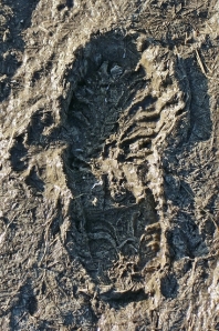 footprint-254795_640